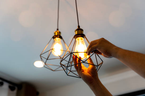 Best Home Electrical Repair  in Ortonville, MN