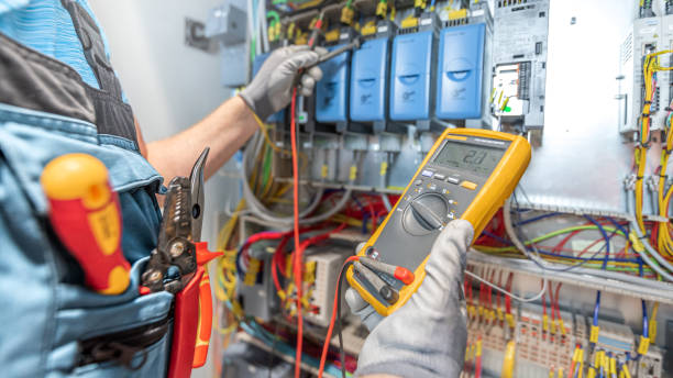 Best Licensed Electrician  in Ortonville, MN